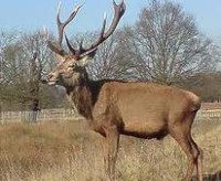 /album/fenykepgaleria/images-5-jpg1/